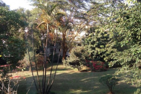 Quiet Comfortable Studio with amazing Garden.
